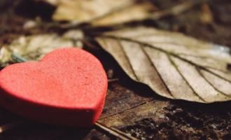 rött hjärta och löv | Väddö Begravningsbyrå