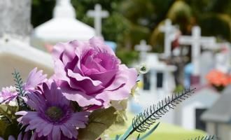 lila blommor på en kyrkogård | Väddö Begravningsbyrå