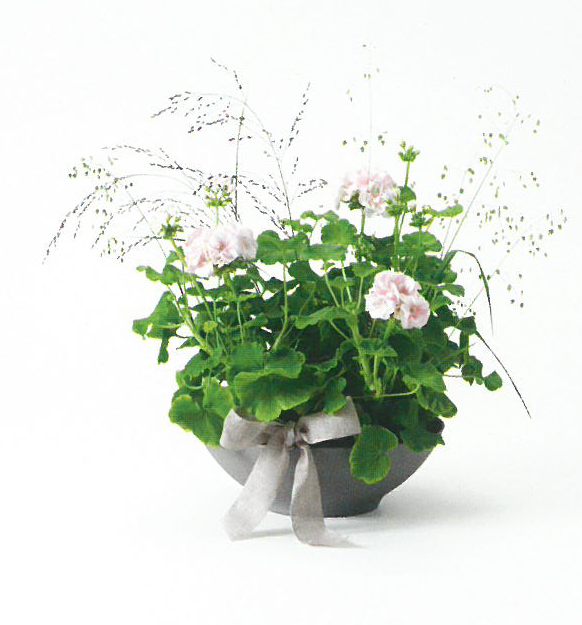 Begravningsdekoration BD05