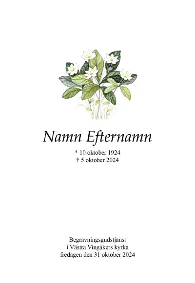 Programkort Skogsstjärna