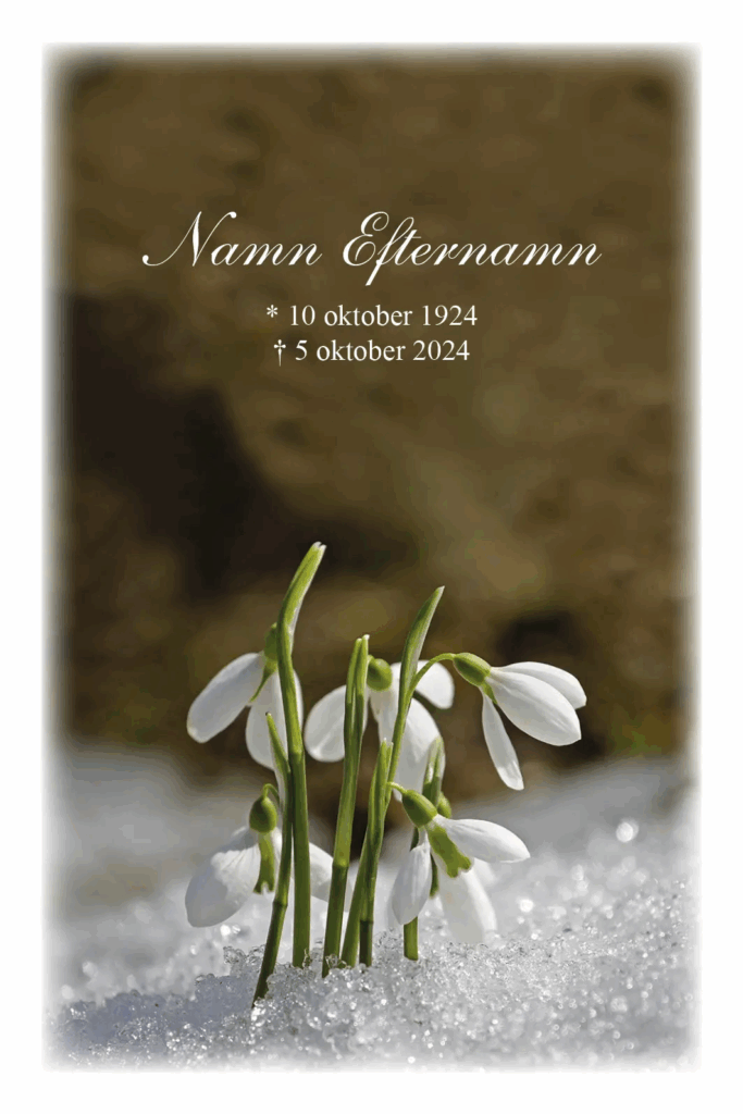 Tackkort med Snödroppar