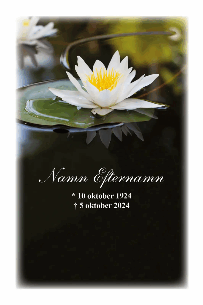 Tackkort Vit näckros i vatten