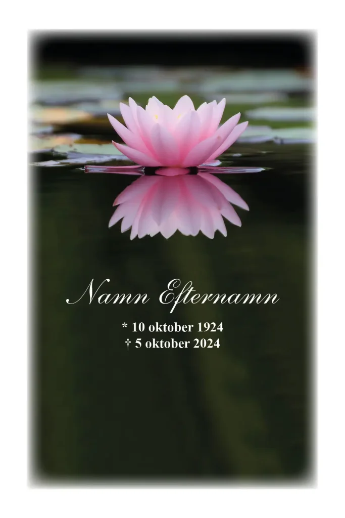 Tackkort med Rosa Näckros i vatten